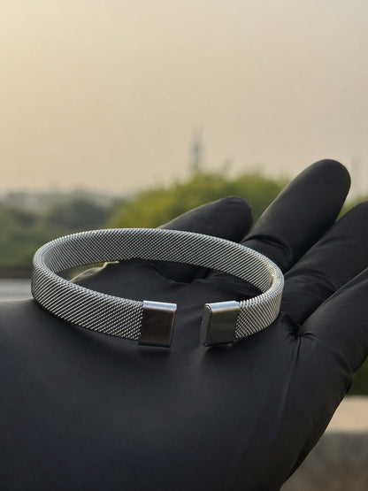 The Titanium Mesh